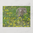 Pesquisar por coelho amarelo horizontal cartoes Qualquer pessoa