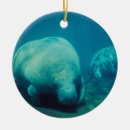 Pesquisar por peixe boi ornamentos Animal