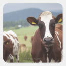 Pesquisar por pastagem adesivos Agricultura