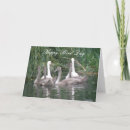 Pesquisar por cisne branco cartoes Fofofo