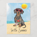 Pesquisar por teckel cartoes postais Doxie