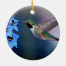 Pesquisar por colibris ornamentos Animais selvagens
