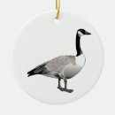 Pesquisar por canadense ornamentos Ganso