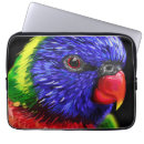 Pesquisar por papagaio laptop sleeves Colorido