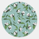 Pesquisar por amante urso panda adesivos Qualquer pessoa