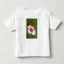 Pesquisar por ilhas cook camisetas Cozinhar