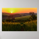 Pesquisar por agricultura pósteres Fotografia