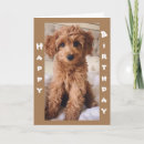 Pesquisar por andarilho cartoes Cachorrinho