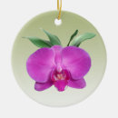 Pesquisar por orquídeas roxas ornamentos Para ela