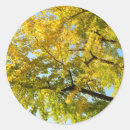 Pesquisar por ginkgo adesivos Árvore