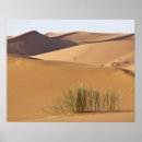 Pesquisar por dunas de areia pósteres Marrocos
