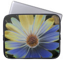 Pesquisar por african capas Azul