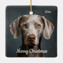 Pesquisar por cão weimaraner ornamentos Natal