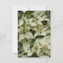 Pesquisar por dogwood branco Floral