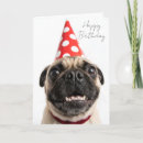 Pesquisar por pug das cartoes Mãe de cachorro