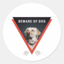 Pesquisar por cuidado cão adesivos Engraçado