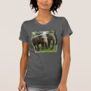 Pesquisar por foto elefante camisetas Elefantes