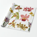 Pesquisar por orquídeas papel de presente Natureza