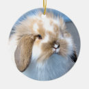 Pesquisar por coelho branco ornamentos Para eles