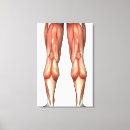 Pesquisar por anatomia humana impressão de canvas Vertical