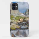 Pesquisar por ansel adams iphone capas Floresta nacional inyo