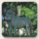 Pesquisar por diminuto porta copos Estar