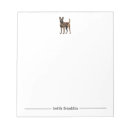 Pesquisar por malinois Animais