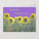 Pesquisar por flor alaranjada cartoes Qualquer pessoa