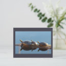 Pesquisar por family cartoes postais Natureza