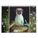 Pesquisar por pug calendarios Calendário do pug