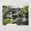 Pesquisar por zoo cartoes postais Flores