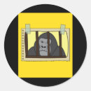 Pesquisar por gorilla adesivos Chimpanzé