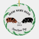 Pesquisar por suínos ornamentos Animal