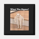 Pesquisar por meme do internet imas Animal