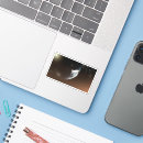 Pesquisar por térmico adesivos Engenharia