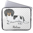 Pesquisar por longo capas Dachshund
