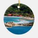 Pesquisar por paradise ornamentos Para todos