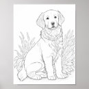 Pesquisar por retriever artes pósteres Ilustração