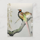 Pesquisar por pássaros vintage cartoes postais Ohara koson