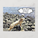 Pesquisar por lagosta engraçada cartoes postais Humor