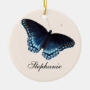 Pesquisar por borboleta azul ornamentos Vida selvagem