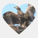 Pesquisar por careca adesivos Águias carecas