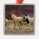 Pesquisar por cavalo quarto ornamentos Pintura