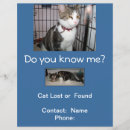Pesquisar por gatos flyers Gato perdido