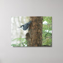 Pesquisar por pica impressão de canvas Fotografia