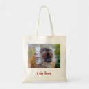 Pesquisar por lemur do bolsas Animais selvagens