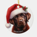 Pesquisar por labrador retriever ornamentos Animal