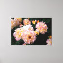 Pesquisar por cores arco íris impressão de canvas Rosa