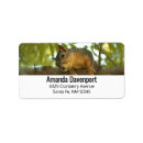 Pesquisar por engraçado etiquetas Fofofo