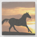 Pesquisar por cavalo preto porta copos Fazenda